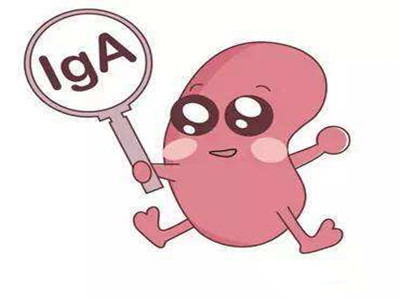 IgA肾病是什么病?为什么会得IgA肾病?