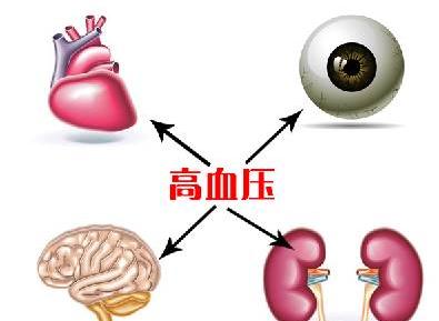 高血压肾病是怎么得的？有哪些治疗途径