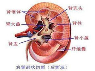 对于隐匿性肾炎患者应该注意哪些呢