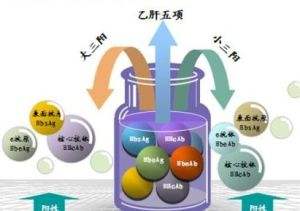 乙肝五项检查